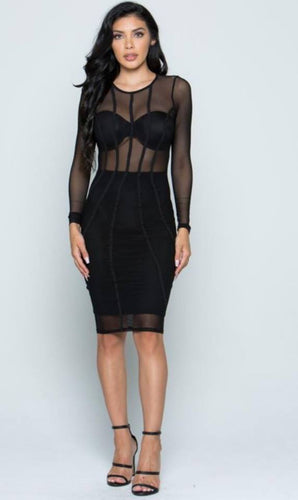 Long Sleeve Basic Mesh Dress
