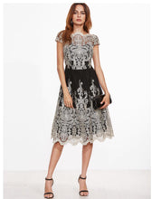 Contrast Fit And Flare Embroidered Mesh Dress