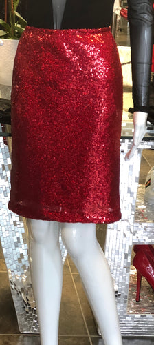 Sequin Knee Length Skirt
